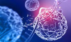 Çinli Bilim İnsanlarından Devrim Niteliğinde Buluş