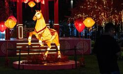 Asya ülkeleri yaklaşan Çin Yeni Yılı'nı coşkuyla karşılıyor