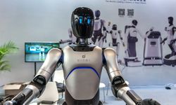 Pekin'de parklara aşırı sıcaklarda görev yapacak 72 robot yerleştirildi