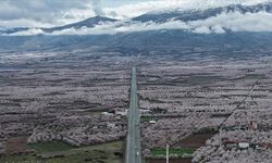 "Dünya kayısı başkenti" Malatya beyaz gelinliğini giydi