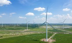 Çin'in yenilenebilir enerjideki hızlı büyümesi, küresel enerji şokuna karşı ihracat direncini artırıyor