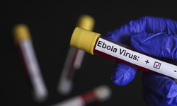 DSÖ, Ebola salgınının görüldüğü KDC ve Uganda'ya seyahat ve ticaret kısıtlaması önermiyor