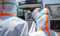 Kongo'da rekor hızla büyüyen Ebola salgını endişe yaratıyor