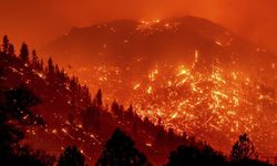 ABD'nin Nevada eyaletinde orman yangını: 42 bin kişi tahliye edildi