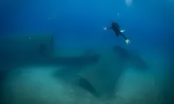 Kruvaziyer turistleri Kuşadası'nın su altı güzelliklerini de keşfediyor