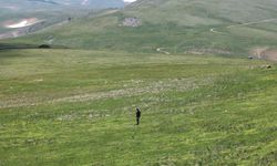 2 bin 400 yıllık Anabasis Yolu turizme kazandırılıyor
