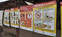 Güney Sudan'da Ebola alarmı