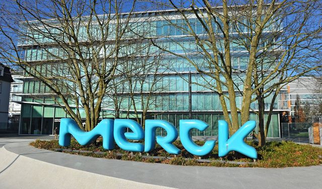 Alman Merck Grubu: Çin pazarına yatırımı artıracağız
