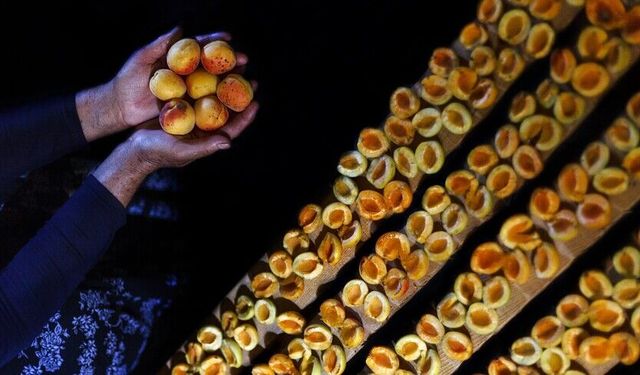 Malatya'dan yılın ilk çeyreğinde 66 milyon dolarlık kuru kayısı ihracatı