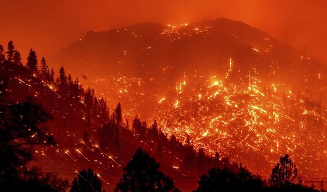 ABD'nin Nevada eyaletinde orman yangını: 42 bin kişi tahliye edildi
