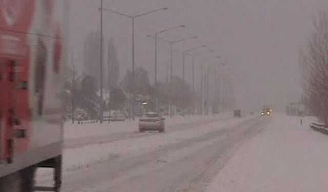 Kutup soğukları Yeni Zelanda'ya kar yağdırdı