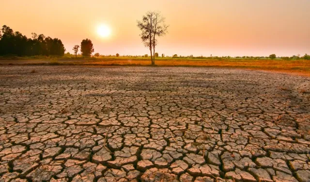 Güneydoğu Asya, El Niño'nun güçlenmesiyle olası risklere hazırlanıyor