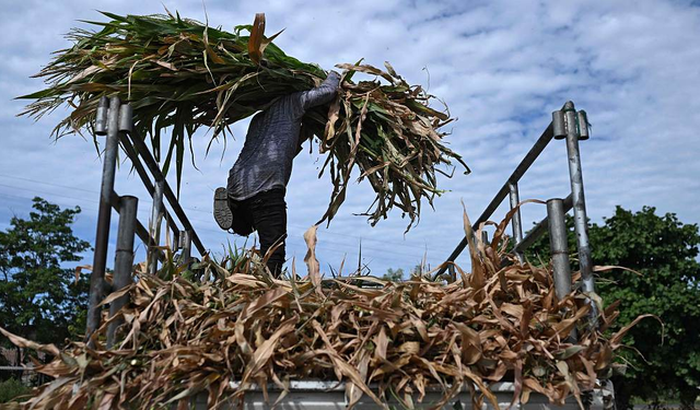 Küresel iklimde alarm: El Niño aralık ayında tarihi zirvesine hazırlanıyor