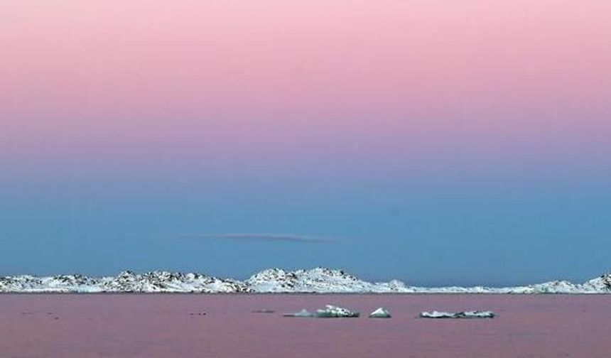 Trump'ın Grönland'a hastane gemisi göndermesini istemiyoruz