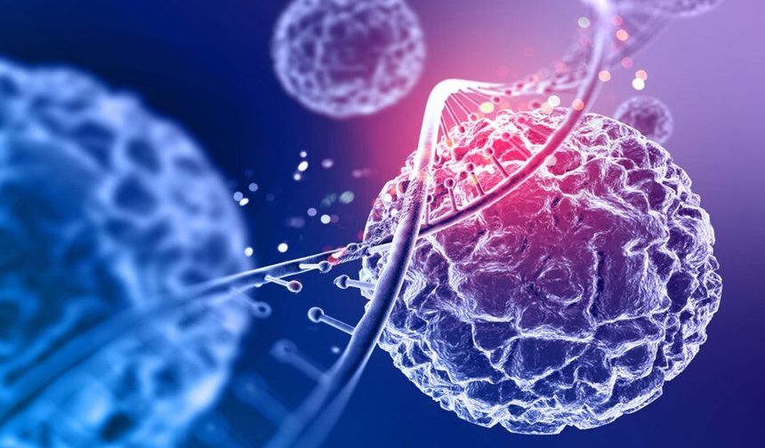 Çinli Bilim İnsanlarından Devrim Niteliğinde Buluş