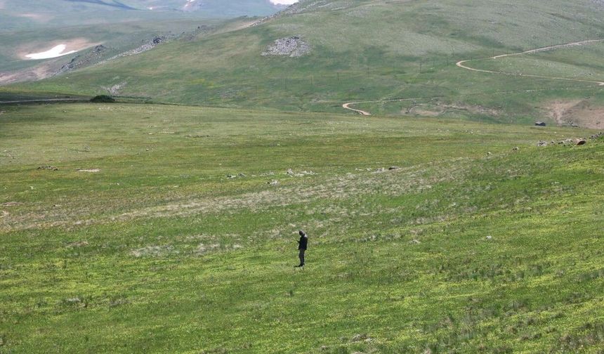 2 bin 400 yıllık Anabasis Yolu turizme kazandırılıyor